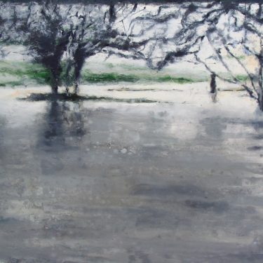 Bernadette Kiely: SO MUCH WATER [so] CLOSE TO HOME |  Luan Gallery 
Athlone, Co. Westmeath | Saturday 3 February to Sunday 25 March 2018 | to 