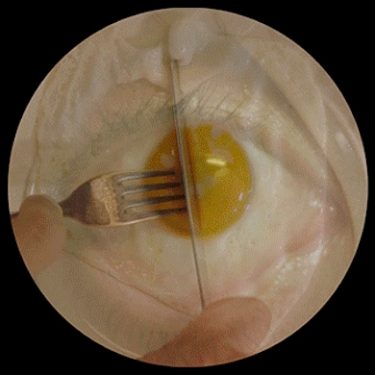 Kills 99.9% of Bacteria |  CCA 
5-7 Artillery Street Derry~Londonderry | Saturday 20 January to Saturday 10 March 2018 | to 