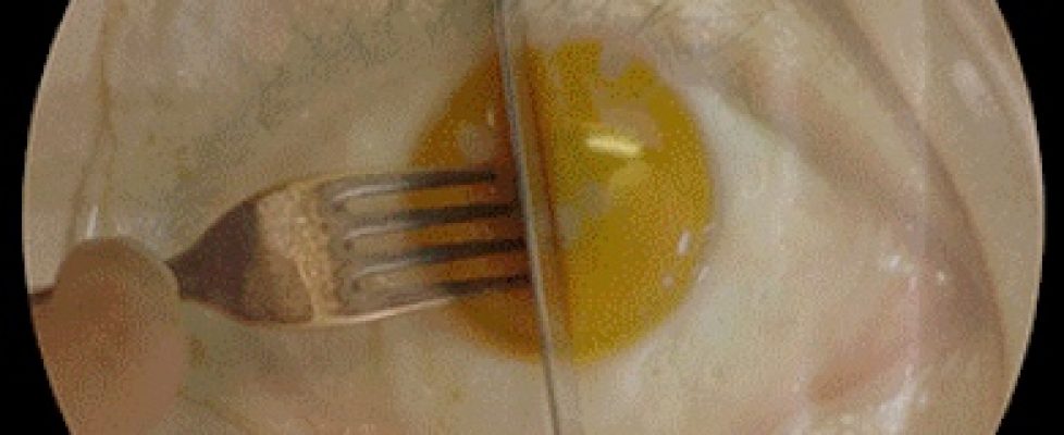 Kills-99.9-of-bacteria