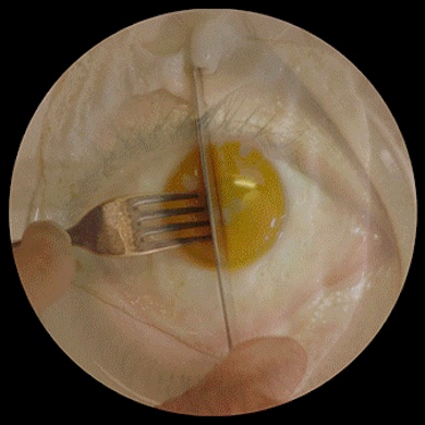 Kills 99.9% of Bacteria |  CCA 
5-7 Artillery Street Derry~Londonderry | Saturday 20 January to Saturday 10 March 2018 | to 