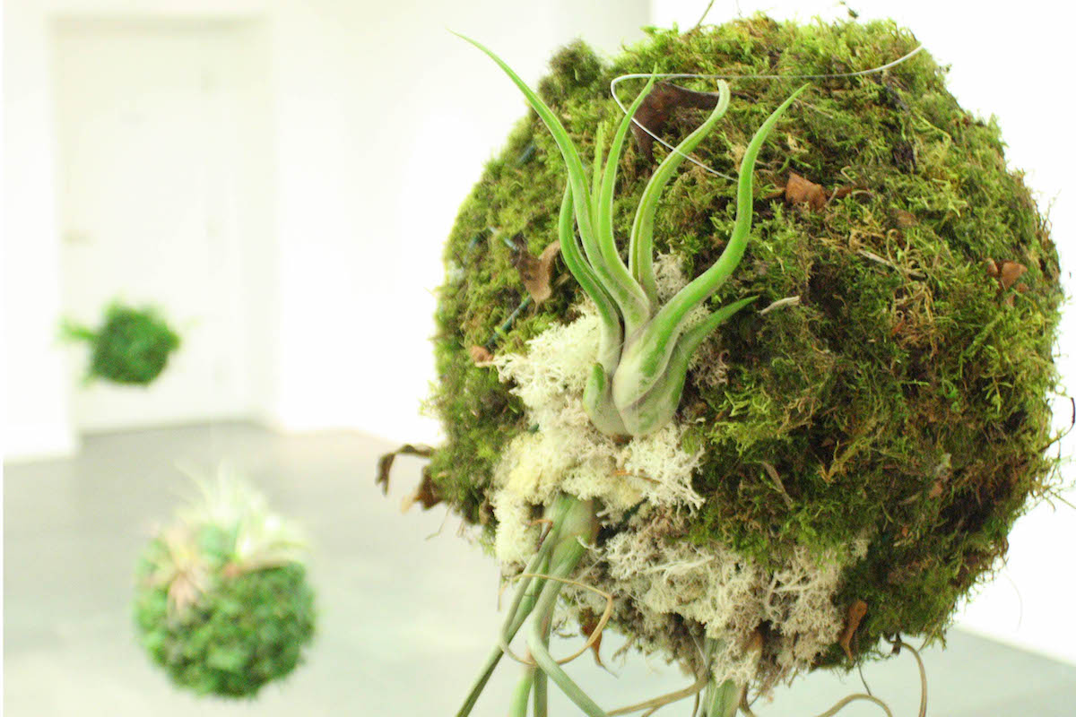 Méadhbh O’Connor: Biosystem ​III​, 2017 | Sustainable Futures | Friday 9 February  – Sunday 1 April 2018 | SIRIUS