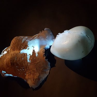 First View 2018 |  Garter Lane Arts Centre 
O'Connell Street Waterford | Friday 2 February to Thursday 15 February 2018 | to 