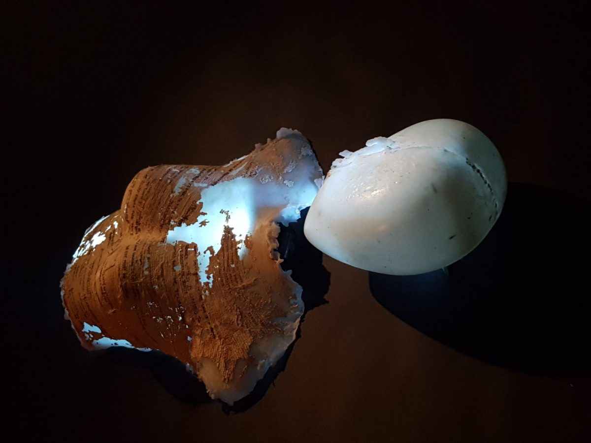 First View 2018 | Friday 2 February  – Thursday 15 February 2018 | Garter Lane Arts Centre