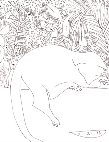 Jane O'Malley: Sam in the Laundry Room, Paradise Island, 1978, pen and ink on paper, 25.3 x 20cm | Jane O’Malley: BLACK & WHITE: Works on Paper: 1971 – 2017 | Saturday 13 January  – Sunday 25 February 2018 | Butler Gallery