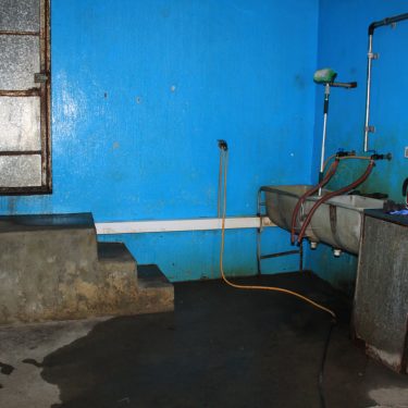 Katie Watchorn: A Calf Remembered |  Wexford Arts Centre 
Cornmarket, Wexford | Saturday 27 January to Saturday 24 February 2018 | to 