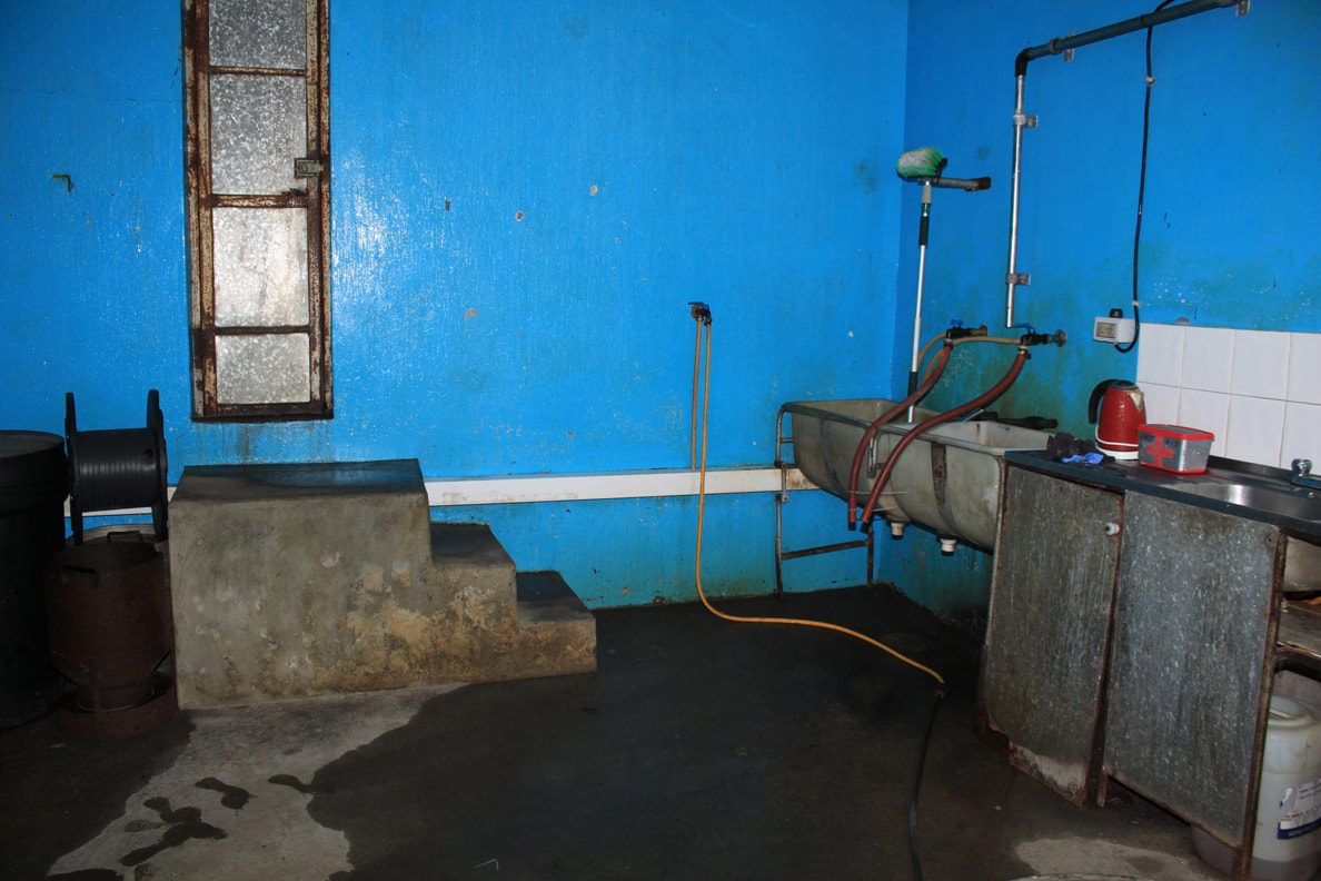 Katie Watchorn: Domestic Interior II, 2017, photographic digital print, 42 x 59.4cm | Katie Watchorn: A Calf Remembered | Saturday 27 January  – Saturday 24 February 2018 | Wexford Arts Centre