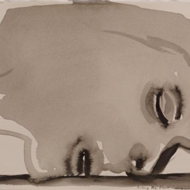 IMMA Collection: Freud Project, The Ethics of Scrutiny |  IMMA 
Royal Hospital, Kilmainham Dublin 8 | Thursday 15 February to Sunday 2 September 2018 | to 