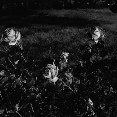 In, Around & Aftereffects: Three Perspectives on the Midlands |  Roscommon Arts Centre 
Circular Road Roscommon Town | Saturday 7 April to Friday 1 June 2018 | to 