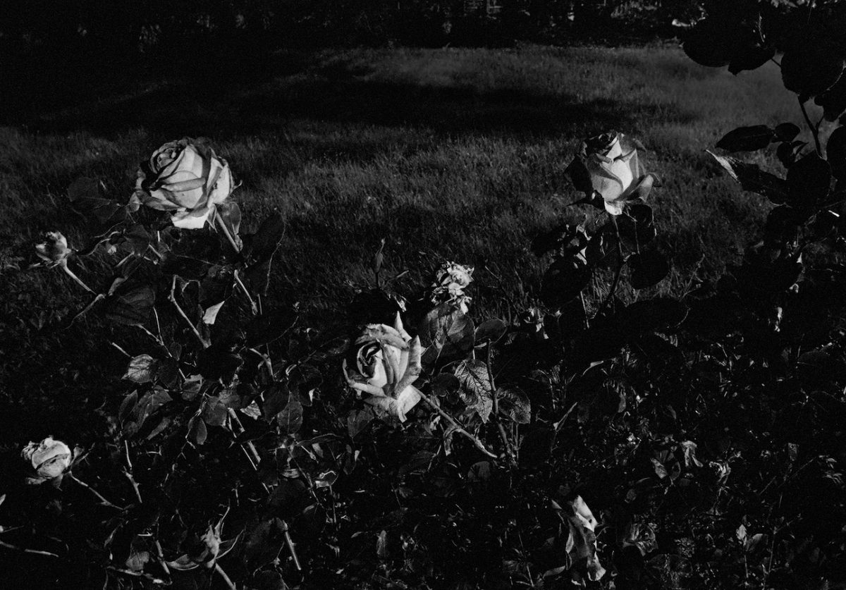 Ciarán Óg Arnold | In, Around & Aftereffects: Three Perspectives on the Midlands | Saturday 7 April  – Friday 1 June 2018 | Roscommon Arts Centre