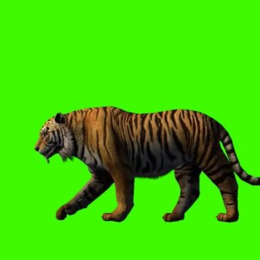 Liliane Puthod: Showroom |  Mermaid Arts Centre 
Main Street, Bray Co. Wicklow | Friday 6 April to Saturday 12 May 2018 | to 