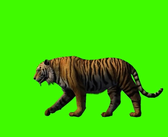 Liliane Puthod: Showroom | Friday 6 April  – Saturday 12 May 2018 | Mermaid Arts Centre