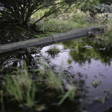 Clare Gallagher: Verges |  Golden Thread Gallery 
23-29 Queen Street Belfast BT1 6EA | Thursday 3 May to Saturday 30 June 2018 | to 