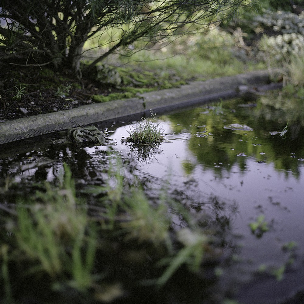 Clare Gallagher: Verges | Thursday 3 May  – Saturday 30 June 2018 | Golden Thread Gallery