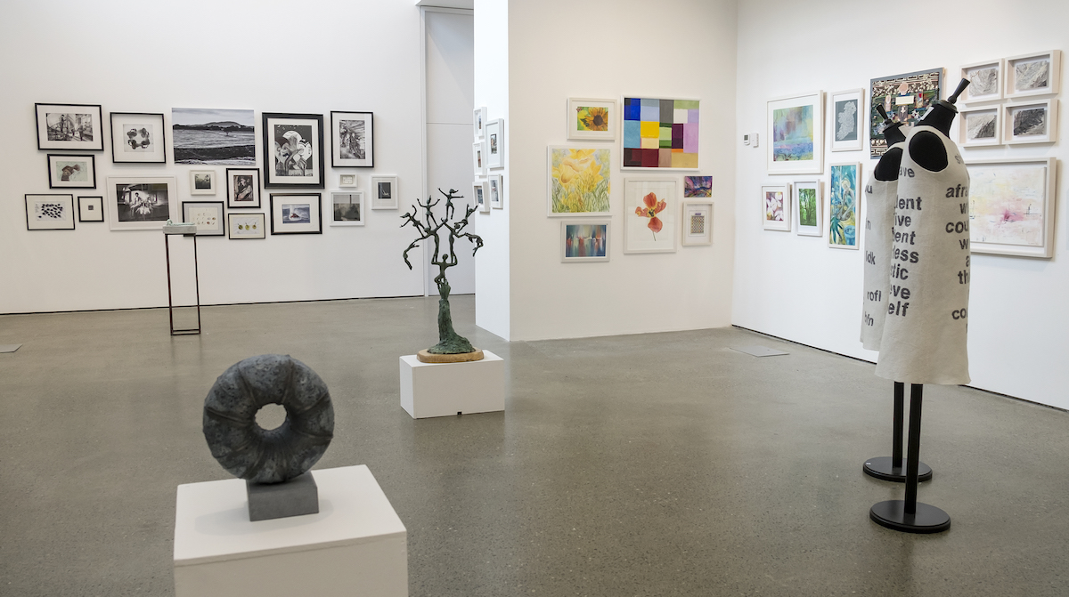 Members Opening 2017 © Kevin O'Farrell Photographer | West Cork Arts Centre’s Members’ Exhibition 2018 | Saturday 21 April  – Saturday 19 May 2018 | Uillinn: West Cork Arts Centre