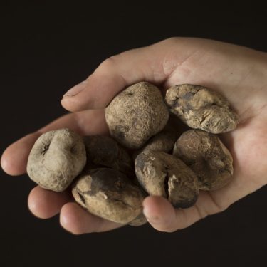 Deirdre O’Mahony: The Persistent Return  |  VISUAL Centre for Contemporary Art 
Old Dublin Road, Carlow | Wednesday 6 June to Sunday 9 September 2018 | to 