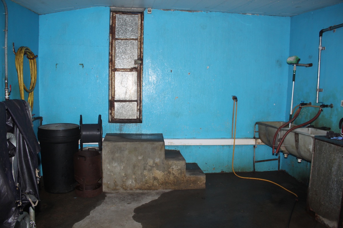 Katie Watchorn:  BalehomeBalehome | Wednesday 6 June  – Sunday 2 September 2018 | VISUAL Centre for Contemporary Art