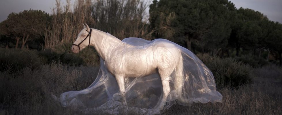 Front cover and Encountering the land