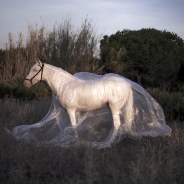 Encountering the Land – Art Works 2018 |  VISUAL Centre for Contemporary Art 
Old Dublin Road, Carlow | Wednesday 6 June to Sunday 2 September 2018 | to 