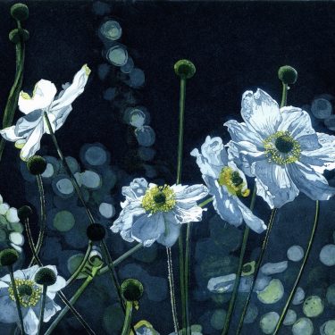 Nicola Lynch Morrin: Fragile Lights |  Graphic Studio Gallery 
off Cope Street Temple Bar, Dublin 2 | Friday 18 May to Saturday 9 June 2018 | to 