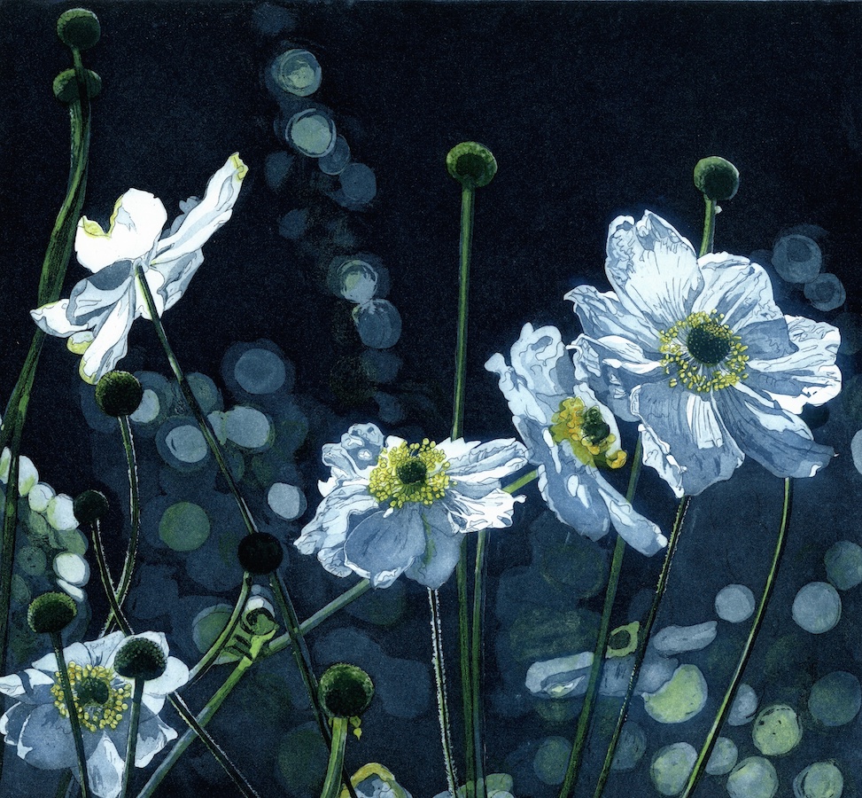 Nicola Lynch Morrin, To Dance in Light | Nicola Lynch Morrin: Fragile Lights | Friday 18 May  – Saturday 9 June 2018 | Graphic Studio Gallery