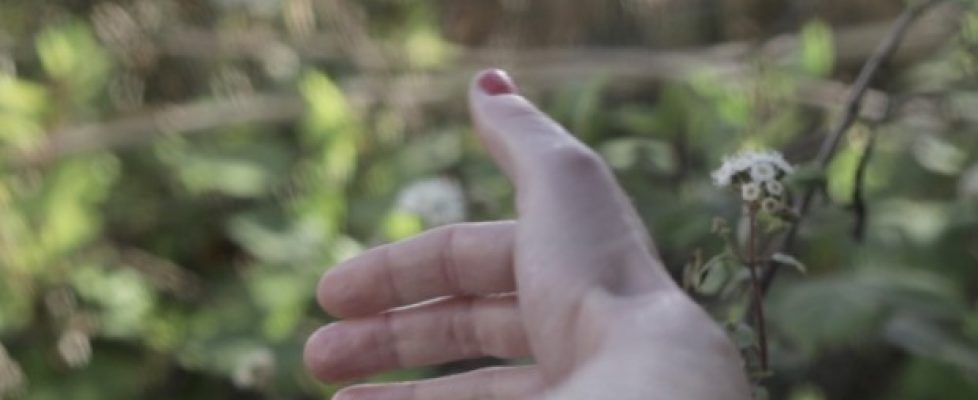 P6_Queen_of_Vacation_620_400_90_s_c1