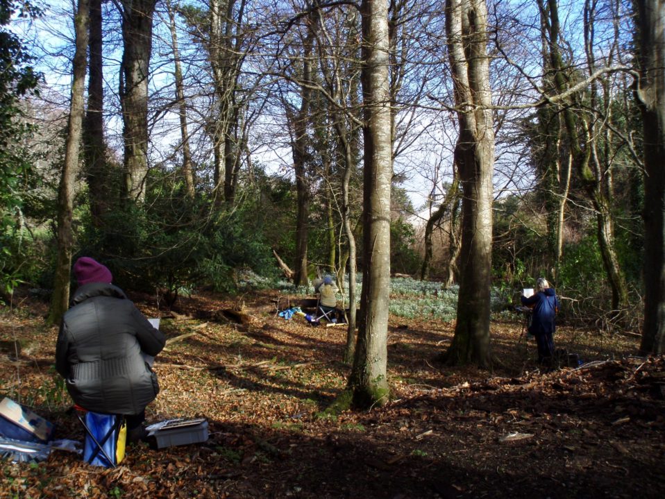 Plein Air Painters | Thursday 24 May  – Saturday 23 June 2018 | Regional Cultural Centre