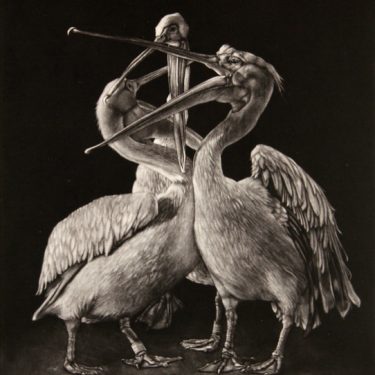 Stampa Ora / Print Now |  Crawford Art Gallery 
Emmet Place, Cork | Friday 22 June to Saturday 18 August 2018 | to 