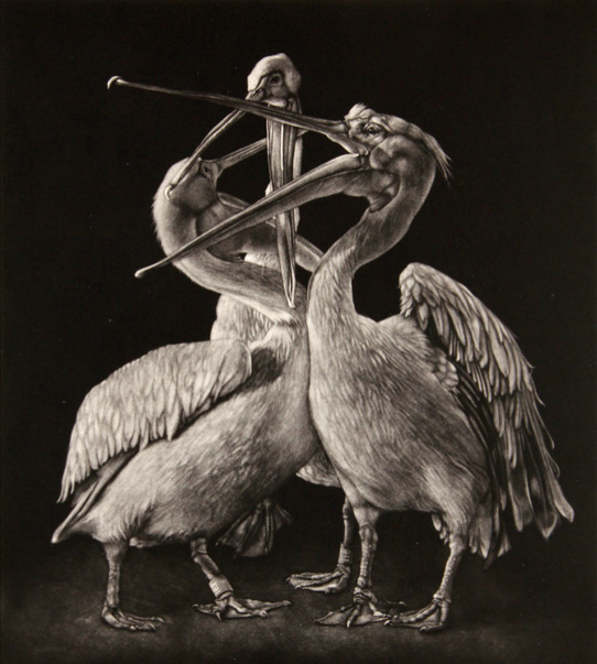 © Aoife Layton, Clash (2018) | Stampa Ora / Print Now | Friday 31 August  – Saturday 13 October 2018 | Garter Lane Arts Centre