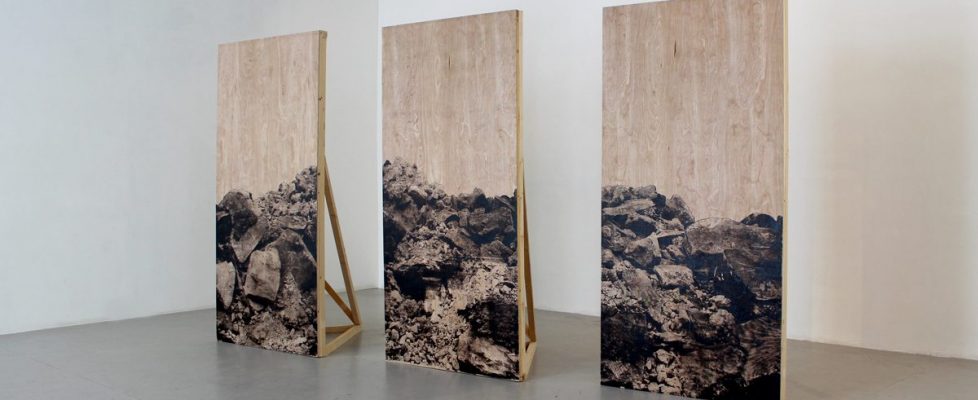 Fiona Kelly gallery image