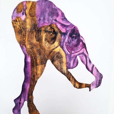 Alice Maher: Vox Materia  |  Crawford Art Gallery 
Emmet Place, Cork | Friday 7 September to Sunday 25 November 2018 | to 