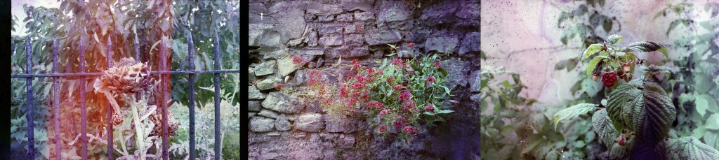 Katie O’Neill: Hymn of The Dawn | Thursday 30 August  – Saturday 8 September 2018 | A4 Sounds Gallery