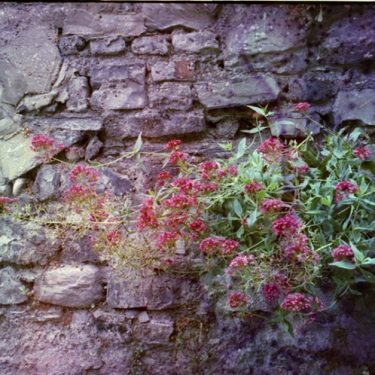 Katie O’Neill: Hymn of The Dawn |  A4 Sounds Gallery 
St Joseph’s Parade Off Upper Dorset Street Dublin 7 | Thursday 30 August to Saturday 8 September 2018 | to 