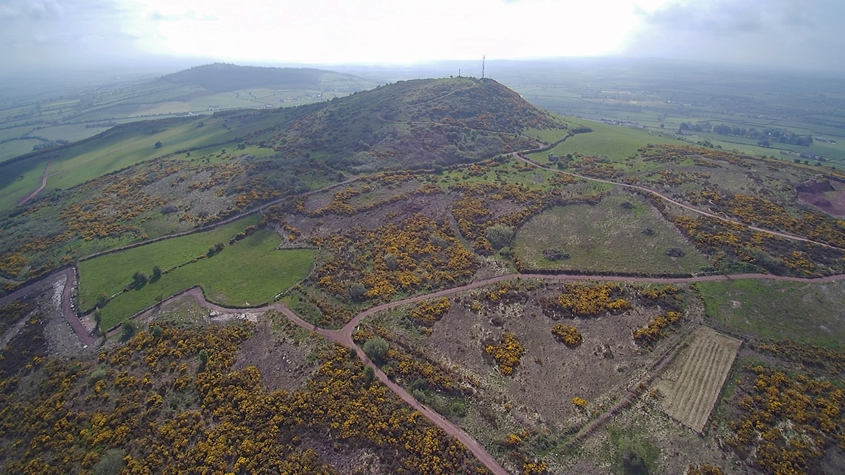 Michele Horrigan: Where Does The Law Stand With Leprechauns? | Friday 7 September  – Sunday 4 November 2018 | The LAB