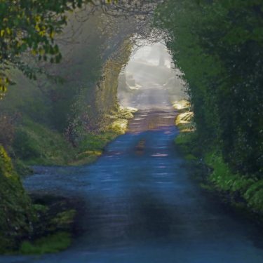 Twin Town – Rudolstadt |  Regional Cultural Centre 
Port Road, Letterkenny Co. Donegal | Friday 21 September to Saturday 20 October 2018 | to 