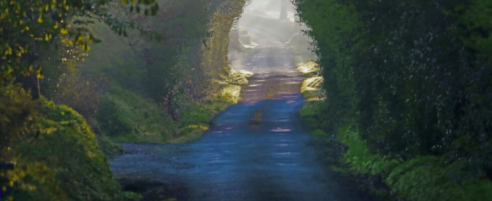 AndreasIrmscher-958×639