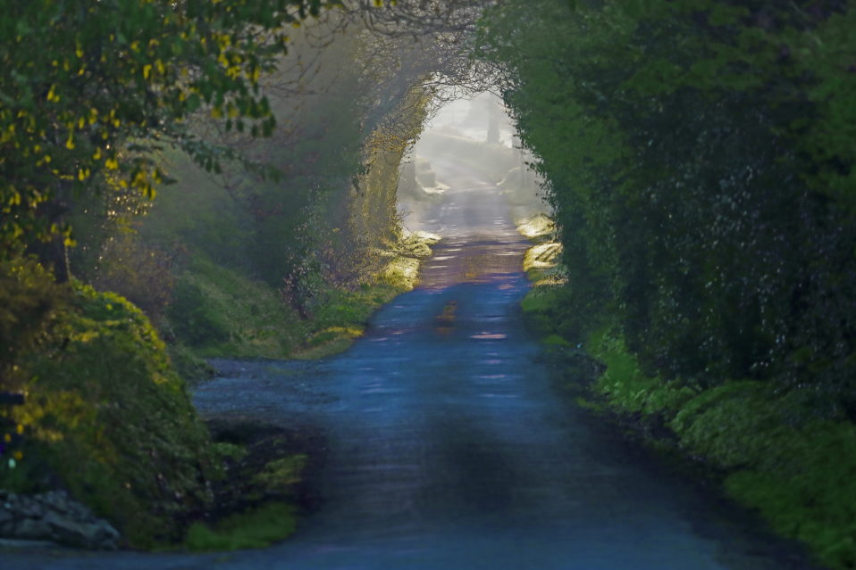 Twin Town – Rudolstadt | Friday 21 September  – Saturday 20 October 2018 | Regional Cultural Centre