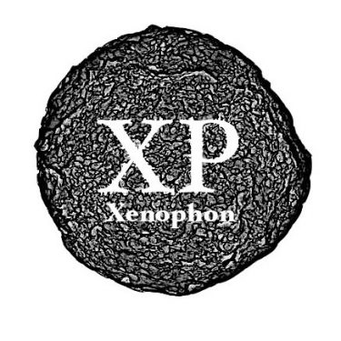 McGibbon O’Lynn: Xenophon |  Triskel Arts Centre 
14A Tobin Street, Cork City | Thursday 4 October to Sunday 25 November 2018 | to 