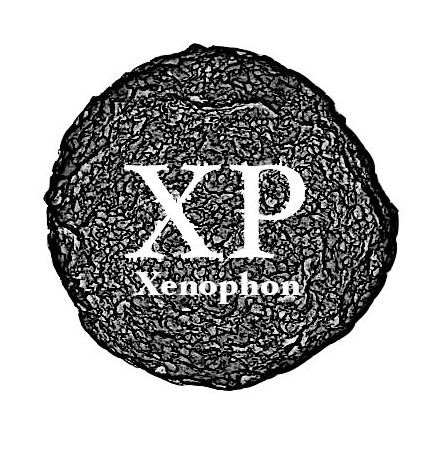 McGibbon O’Lynn: Xenophon | Thursday 4 October  – Sunday 25 November 2018 | Triskel Arts Centre