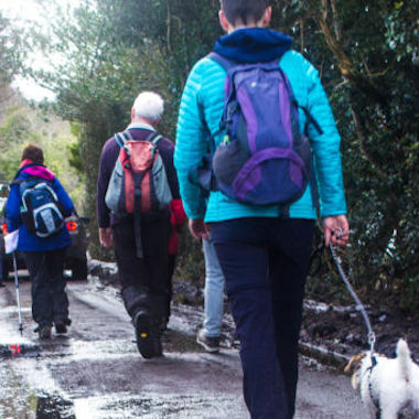 Rock to the Top |  Rua Red 
South Dublin Arts Centre Tallaght, Dublin 24 | Sunday 29 July to Saturday 6 October 2018 | to 