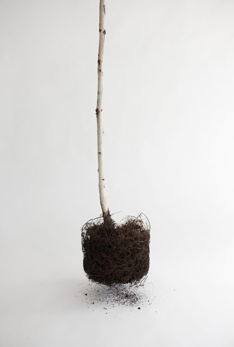 Anita Groener: The Past is a Foreign Country | Sunday 30 September 2018  – Sunday 6 January 2019 | Limerick City Gallery