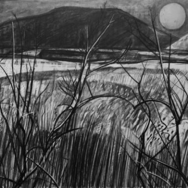 Jacqueline Stanley HRHA: Large Drawings |  Royal Hibernian Academy 
15 Ely Place, Dublin 2 | Thursday 4 October to Sunday 4 November 2018 | to 