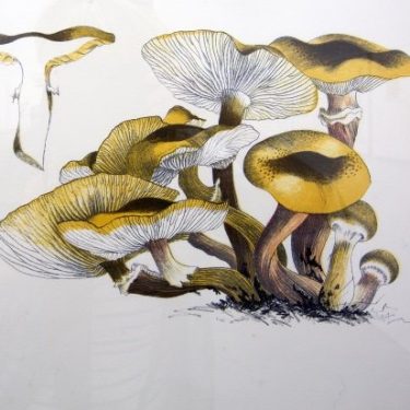 Selections from the Permanent Collection 2018 |  Limerick City Gallery 
Pery Square, Limerick | Sunday 30 September 2018 to Sunday 6 January 2019 | to 