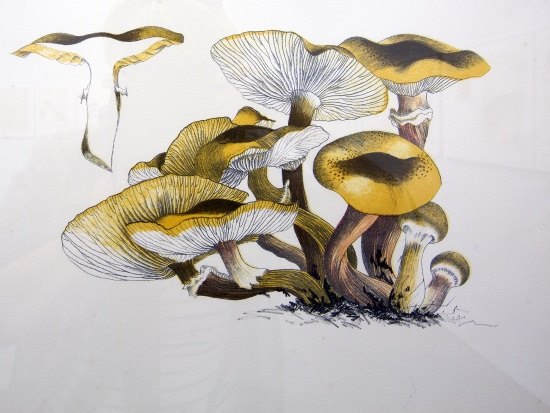 Selections from the Permanent Collection 2018 | Sunday 30 September 2018  – Sunday 6 January 2019 | Limerick City Gallery