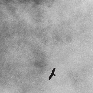 Martin Healy: The Augury |  Butler Gallery 
Evans’ Home John’s Quay, Kilkenny | Saturday 20 October to Sunday 16 December 2018 | to 