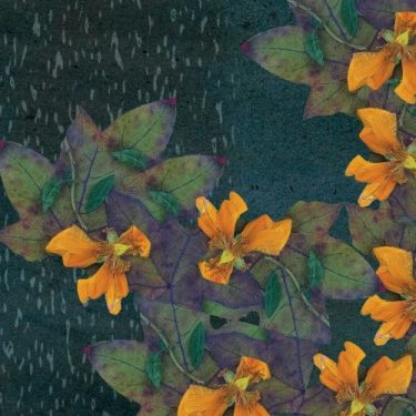 Locale #2 |  A4 Sounds Gallery 
St Joseph’s Parade Off Upper Dorset Street Dublin 7 | Thursday 8 November to Sunday 18 November 2018 | to 