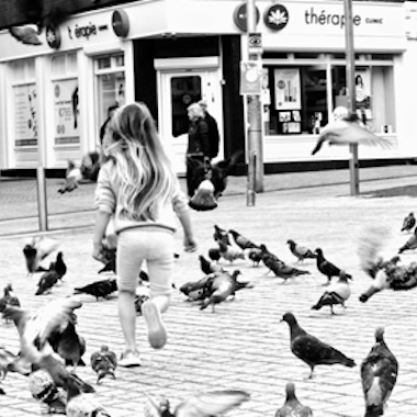 Waterford Art Group & Studio Artists |  Garter Lane Arts Centre 
O'Connell Street Waterford | Thursday 1 November to Sunday 23 December 2018 | to 