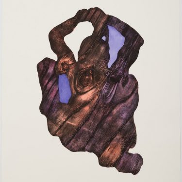 Alice Maher: Vox Materia |  Kevin Kavanagh 
Chancery Lane Dublin 8 | Thursday 29 November to Saturday 22 December 2018 | to 