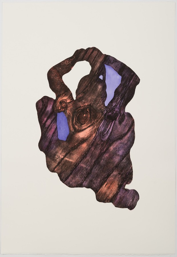 Alice Maher: Vox Materia | Thursday 29 November  – Saturday 22 December 2018 | Kevin Kavanagh