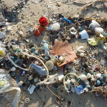 MANMADE |  Millennium Court Arts Centre 
William Street, Portadown | Monday 5 November 2018 to Wednesday 23 January 2019 | to 