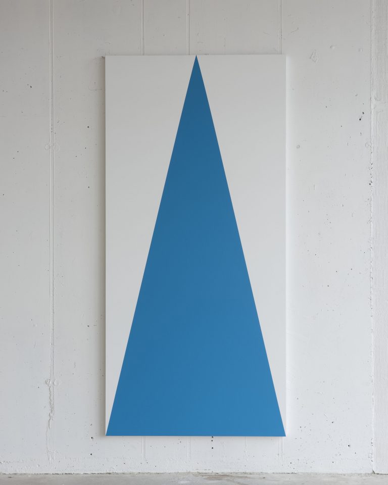 Fergus Martin, Sky, 2016, Acrylic on aluminium, 249 x 118 x 4 cm, Installation view Green on Red Gallery 2016, Image courtesy of the artist | IMMA Collection: Then and Now, Fergus Martin | Friday 15 February  – Sunday 13 October 2019 | IMMA